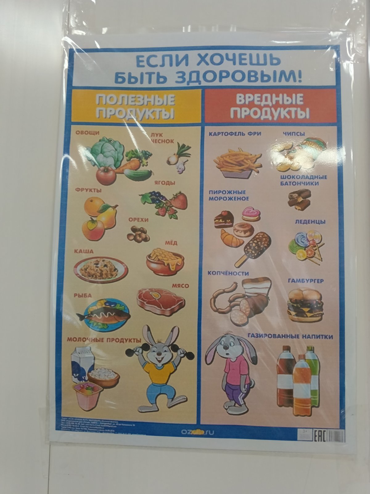 Изображения столовой.