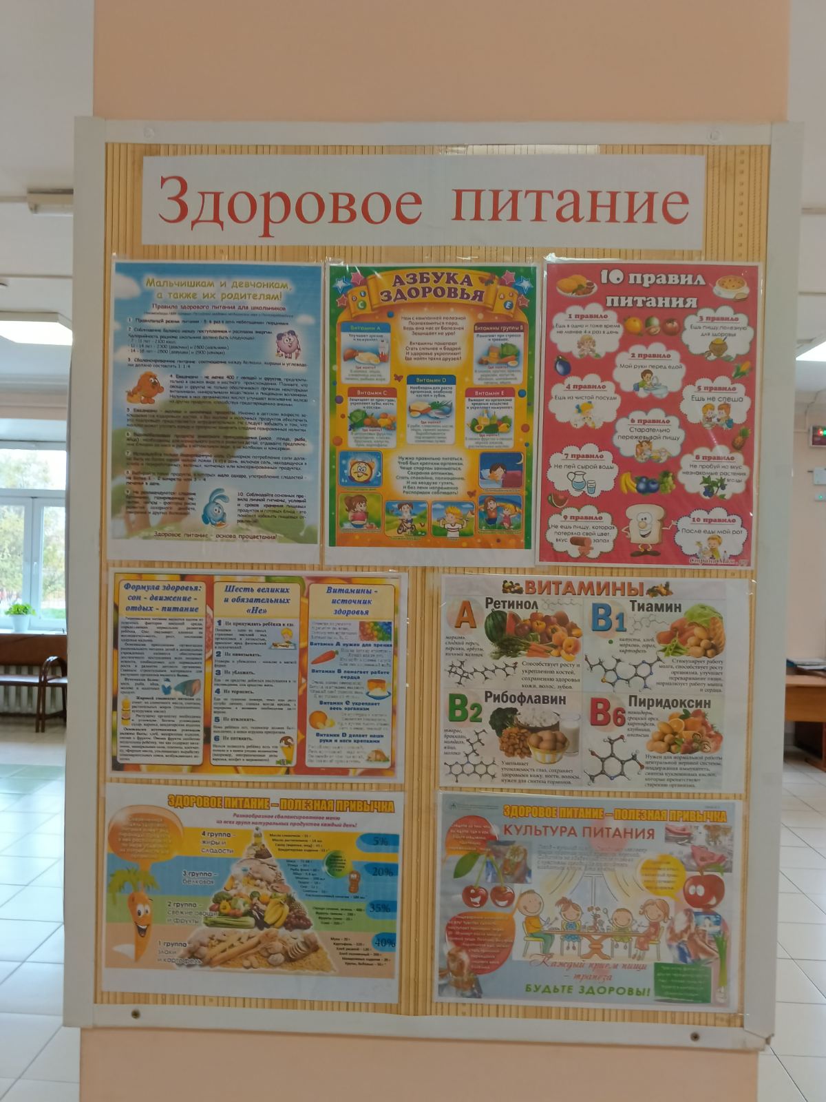 Изображения столовой.